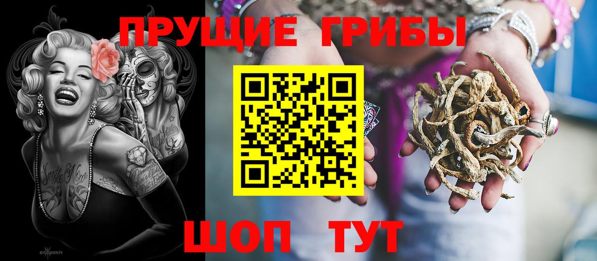 Псилоцибиновые грибы GOLDEN TEACHER Кимовск